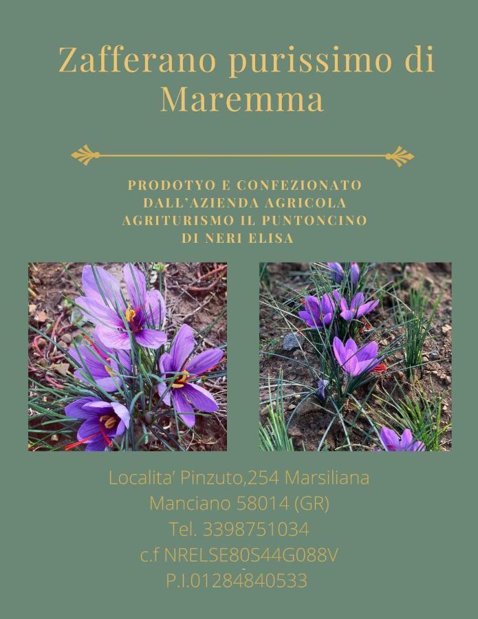 Agriturismo Il Puntoncino Marsiliana Dış mekan fotoğraf