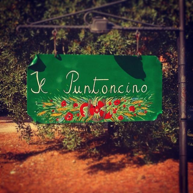 Agriturismo Il Puntoncino Marsiliana Dış mekan fotoğraf