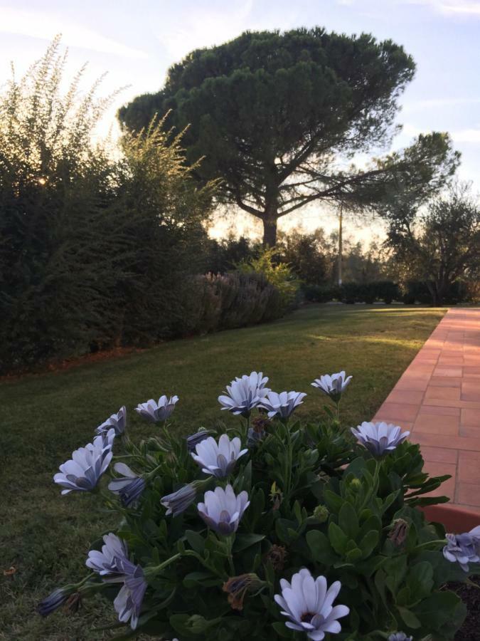 Agriturismo Il Puntoncino Marsiliana Dış mekan fotoğraf